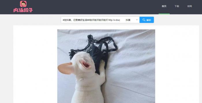 短视频无水印解析源码半开源分享-源码交流网