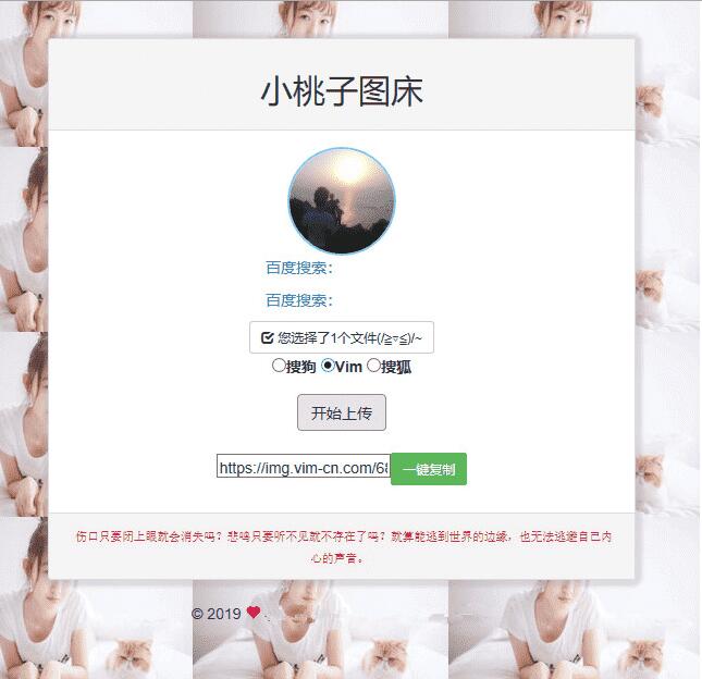 聚合图床程序源码 支持搜狗搜狐Vim图-源码交流网