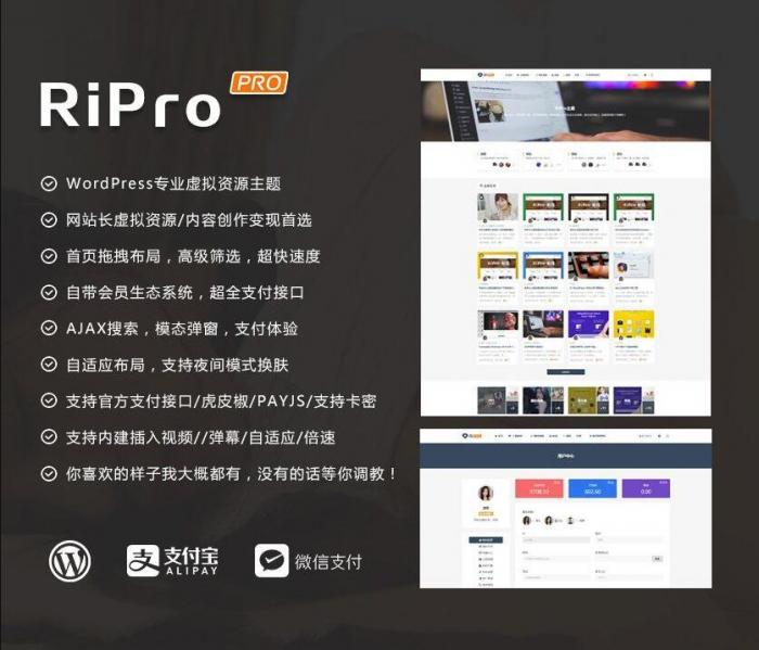 RIPro主题 v7.2 免授权修复后门完美版-源码交流网