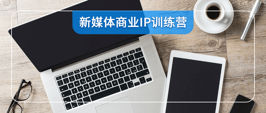 新媒体商业IP训练营视频-源码交流网
