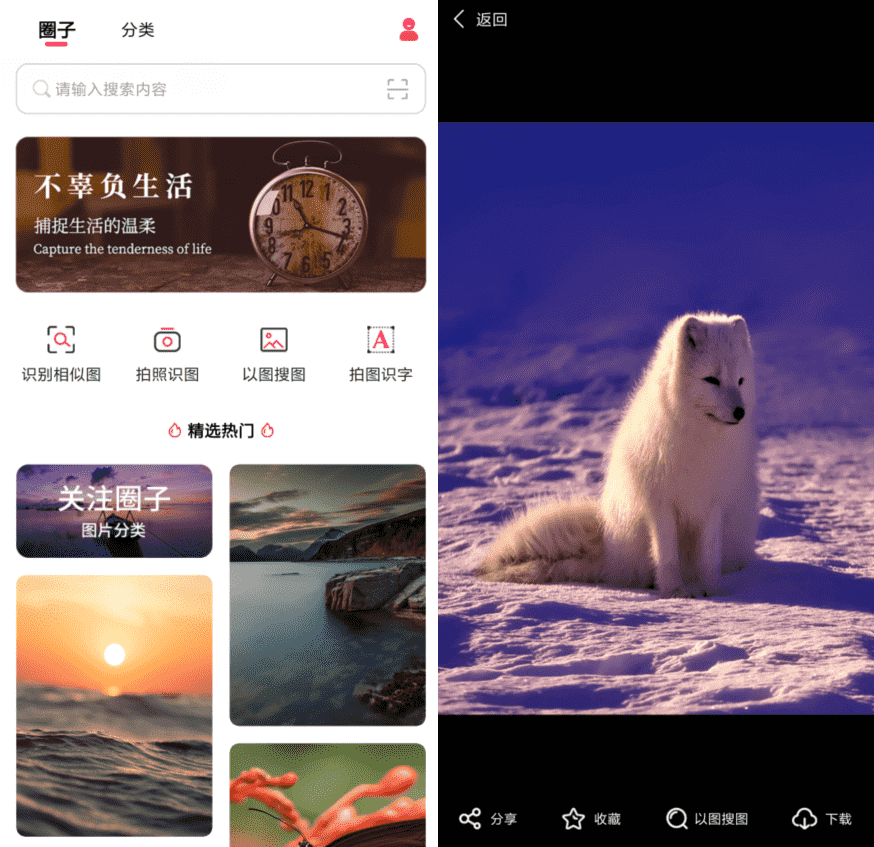 以图搜图v1.0.0纯净版-源码交流网