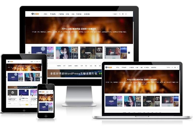 WordPress付费资源下载主题：ripro8.7最新破解版-源码交流网