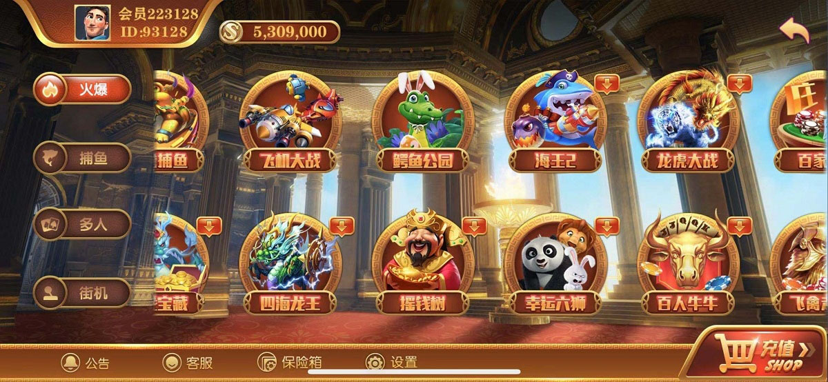 无错运营级别逍遥娱乐,2021最新大富豪,二开增加多款子游戏,双端完整组件-源码交流网