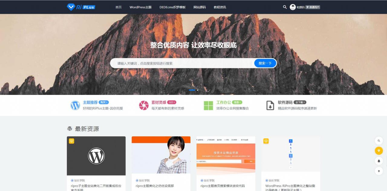 【RiPro转RiPlus数据转换插件】WordPress插件+可实现Ripro文章一键转为RIPlus文章-源码交流网