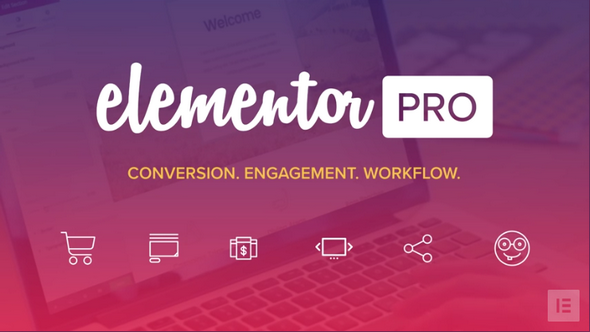 【Elementor Pro v2.10.0】WordPress插件+弹窗生成器+主题生成器+可视化拖拽编辑器插件+300多个Designer Made模板+专业版-源码交流网