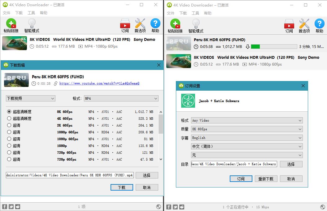 4K Video Downloader v4.20.1 4K视频下载器-源码交流网