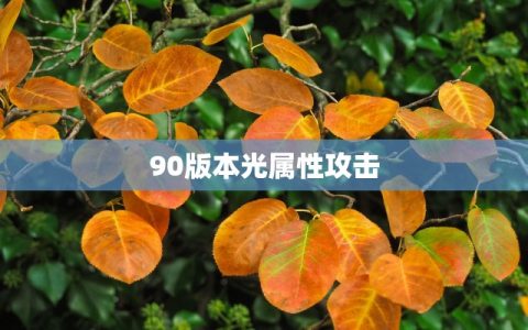 90版本光属性攻击