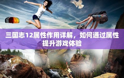三国志12属性作用详解，如何通过属性提升游戏体验