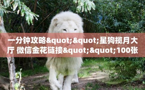 一分钟攻略""星狗揽月大厅 微信金花链接""100张多少钱"房卡充值教程