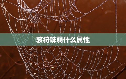 兰州疫情现况，防控措施升级，市民生活与经济发展面临挑战