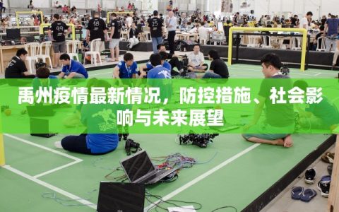 禹州疫情最新情况，防控措施、社会影响与未来展望